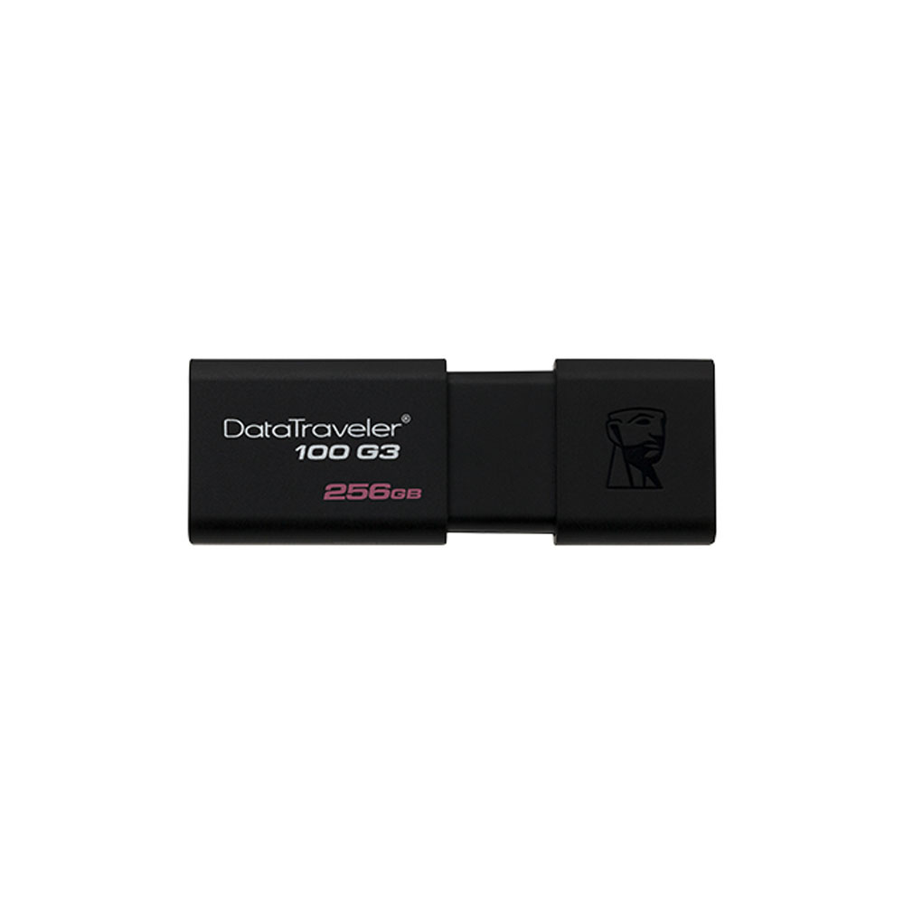 DT100G3 256GB/USB flash drive Kingston